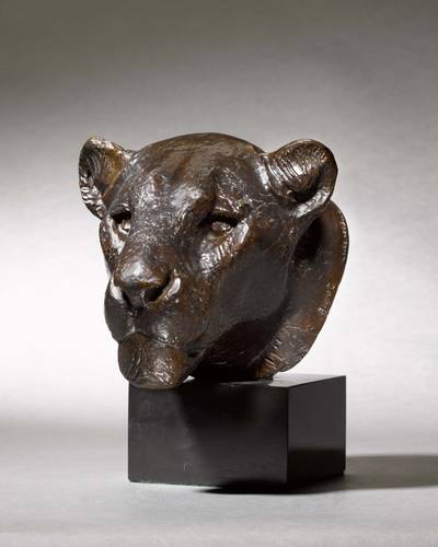 Tête de lionne (Head of a Lioness)