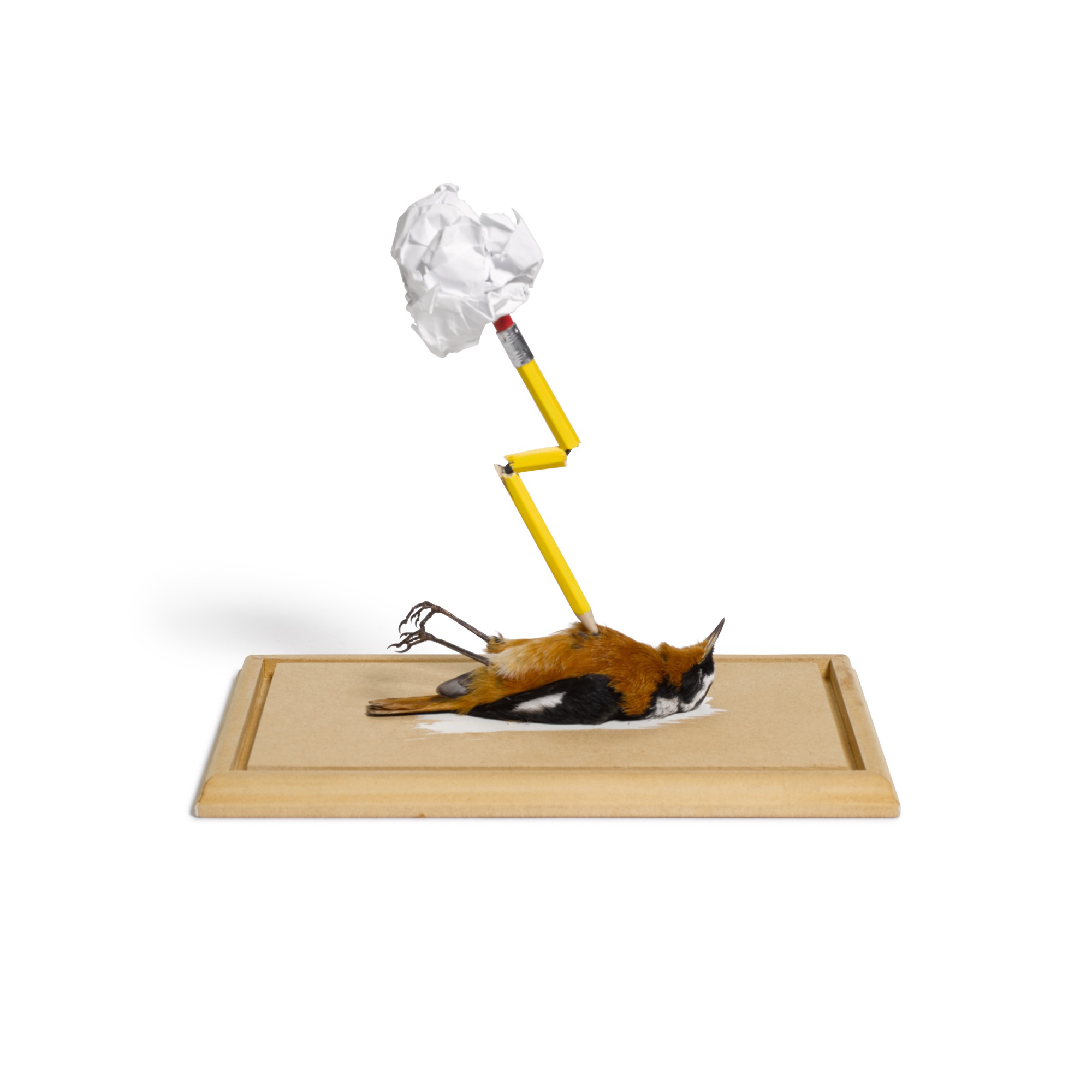 Polly Morgan — A Reluctant Mind (Robin-Chat)