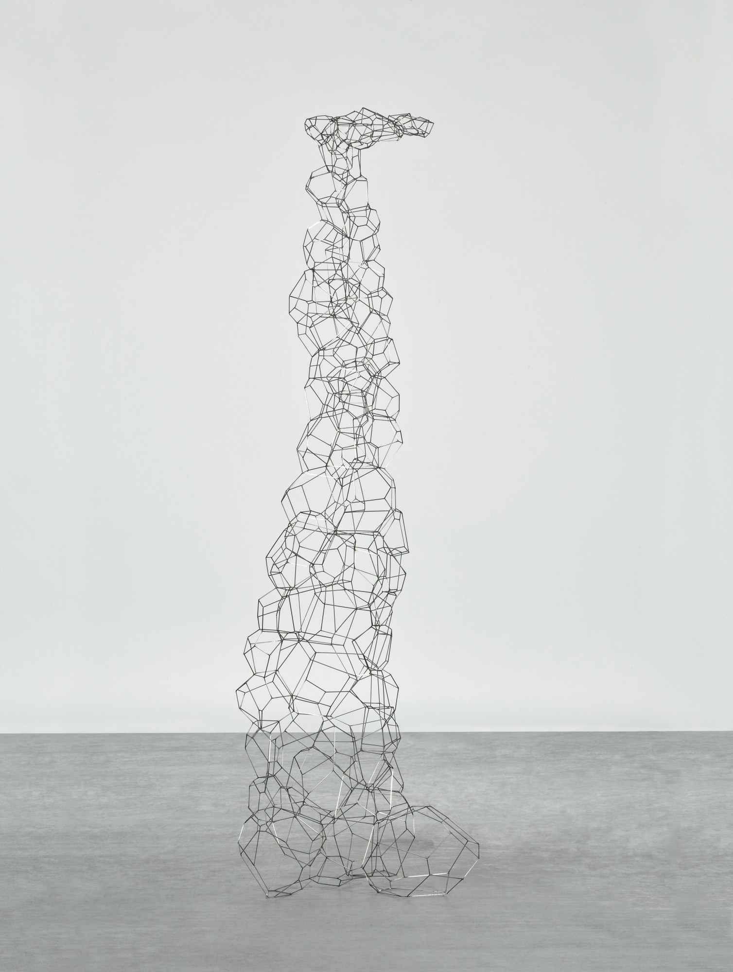 Antony Gormley — Limn
