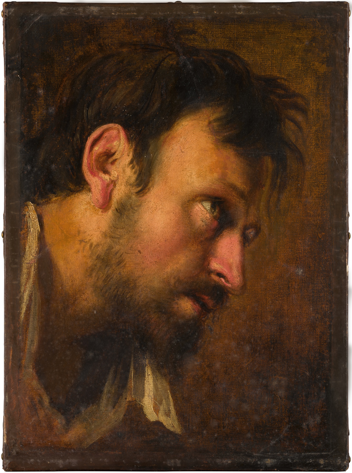 Flemish School, 17th Century — Head study of a bearded man