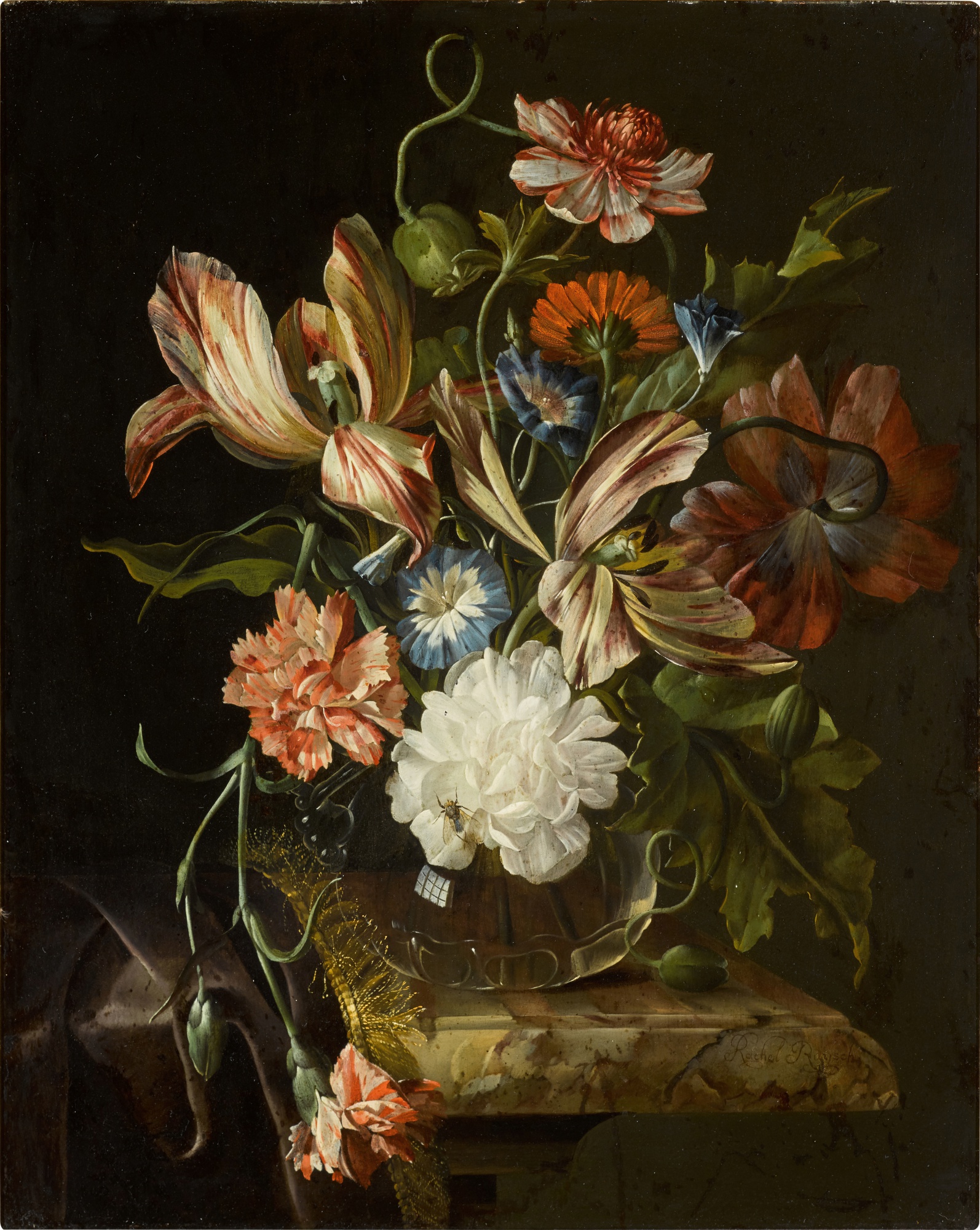 Unknown — Still life of flowers, with peonies, carnations, variegated tulips and other assorted flowers arranged in a glass vase on a velvet draped stone ledge