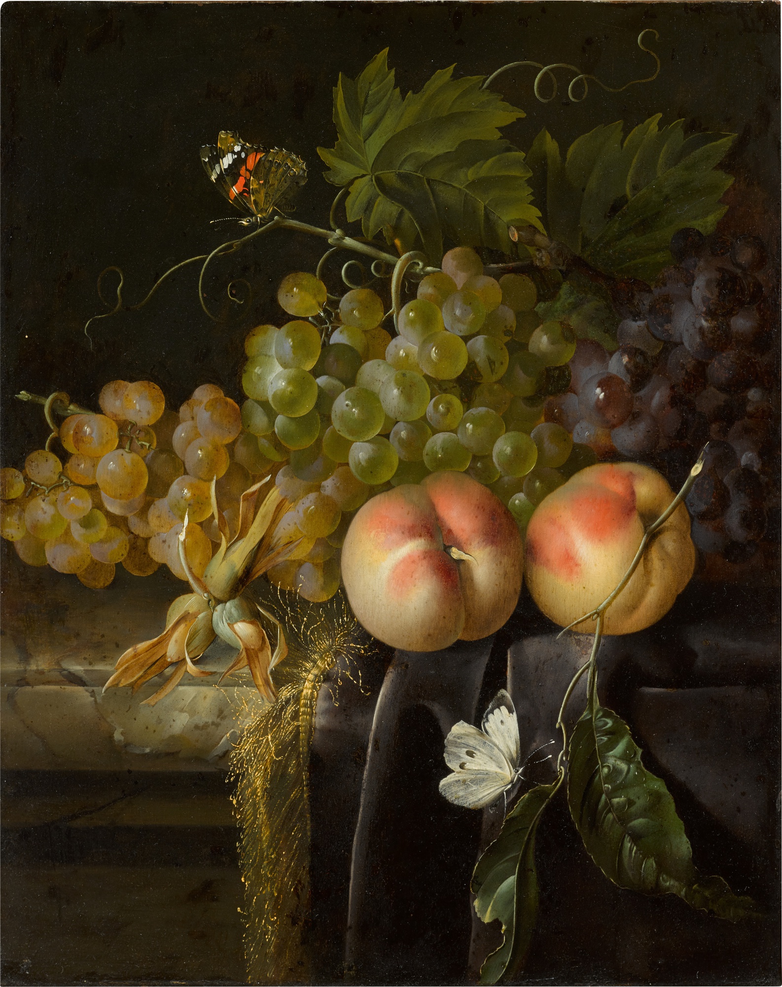 Unknown — Still life of fruit, with peaches and grapes arranged on a velvet draped stone ledge, with butterflies