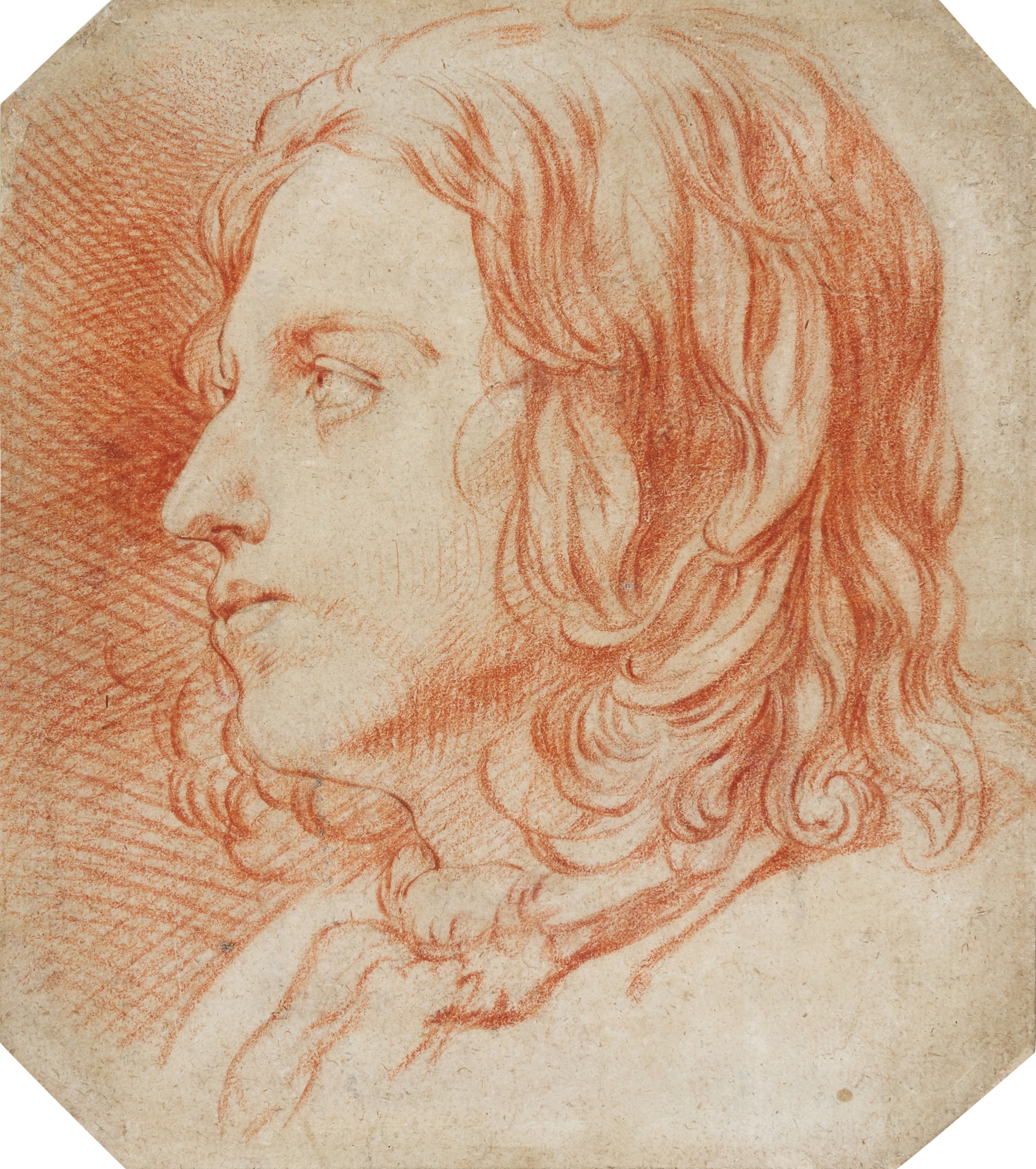 Study of the Head of a young man seen in profile