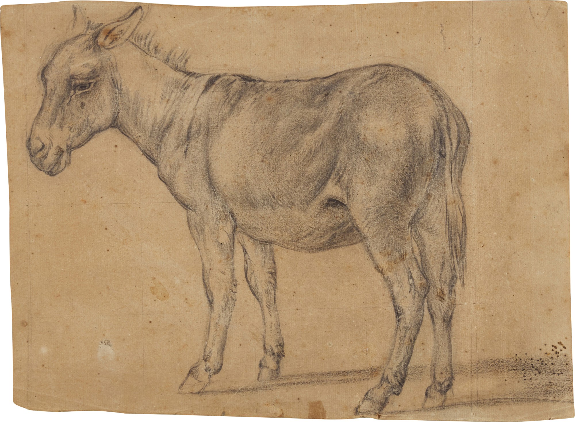 Follower of Pieter van Laer, called Bamboccio — A Donkey