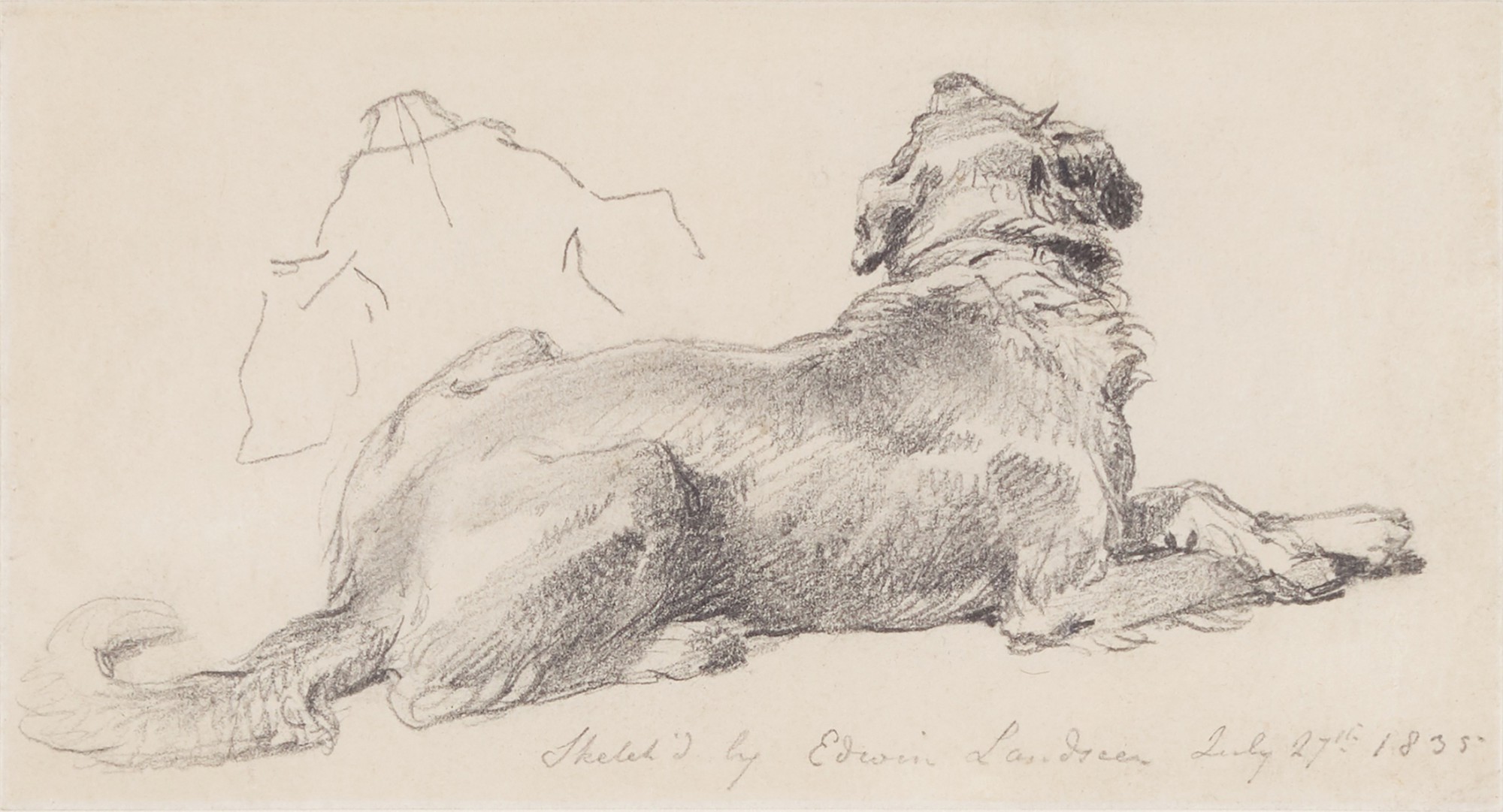 Unknown — A Study of a lying dog