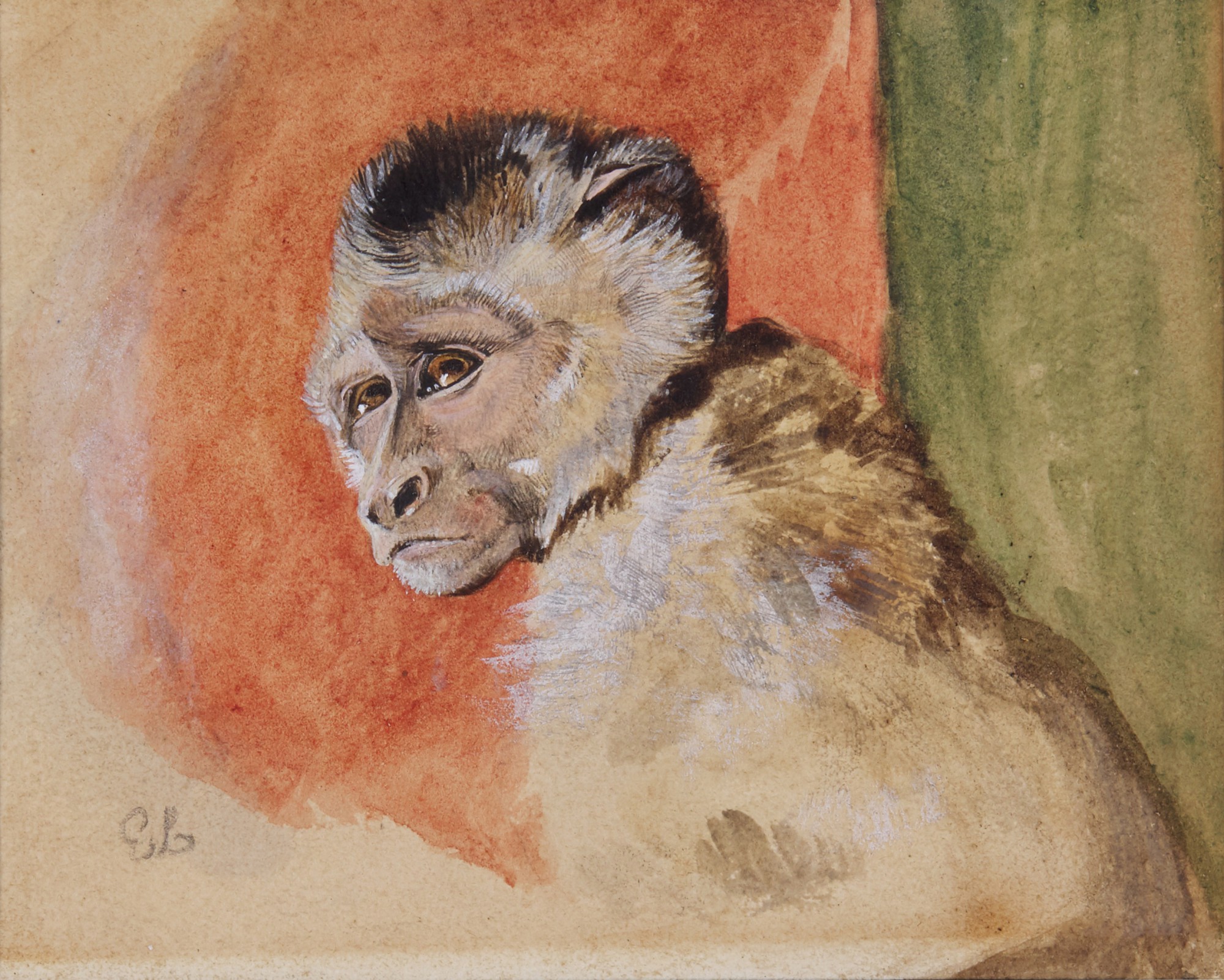 Sir Edwin Henry Landseer — Jacko, a macaque monkey