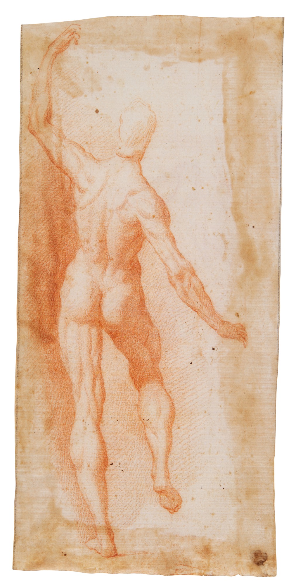 Florentine School, 16th Century — Recto: Study of a male nude, seen from behind, his left arm raised  Verso: Study of Saint John the Baptist with his lamb
