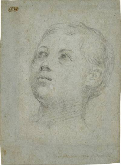 Head of a young woman, looking up