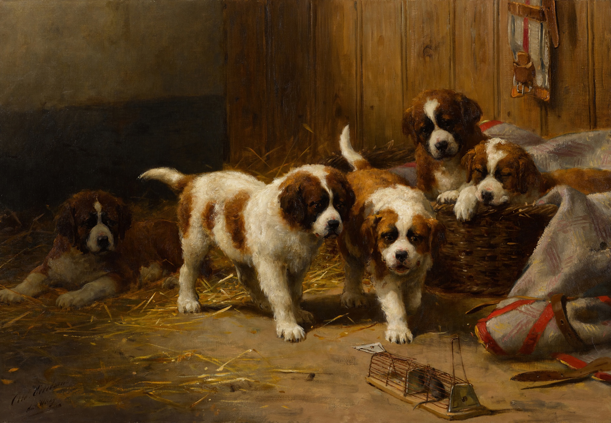 Otto Eerelman — Jonge St Bernhards