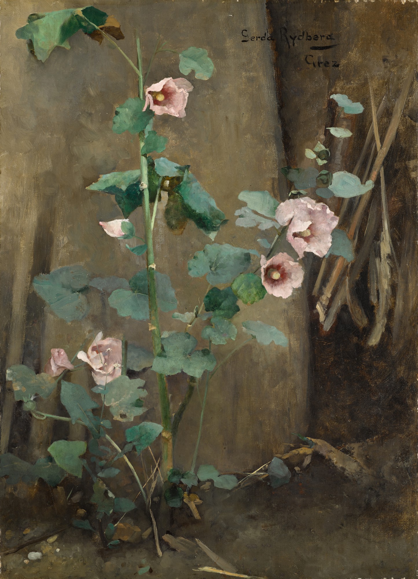 Gerda Tirén — Mallows by a Wall