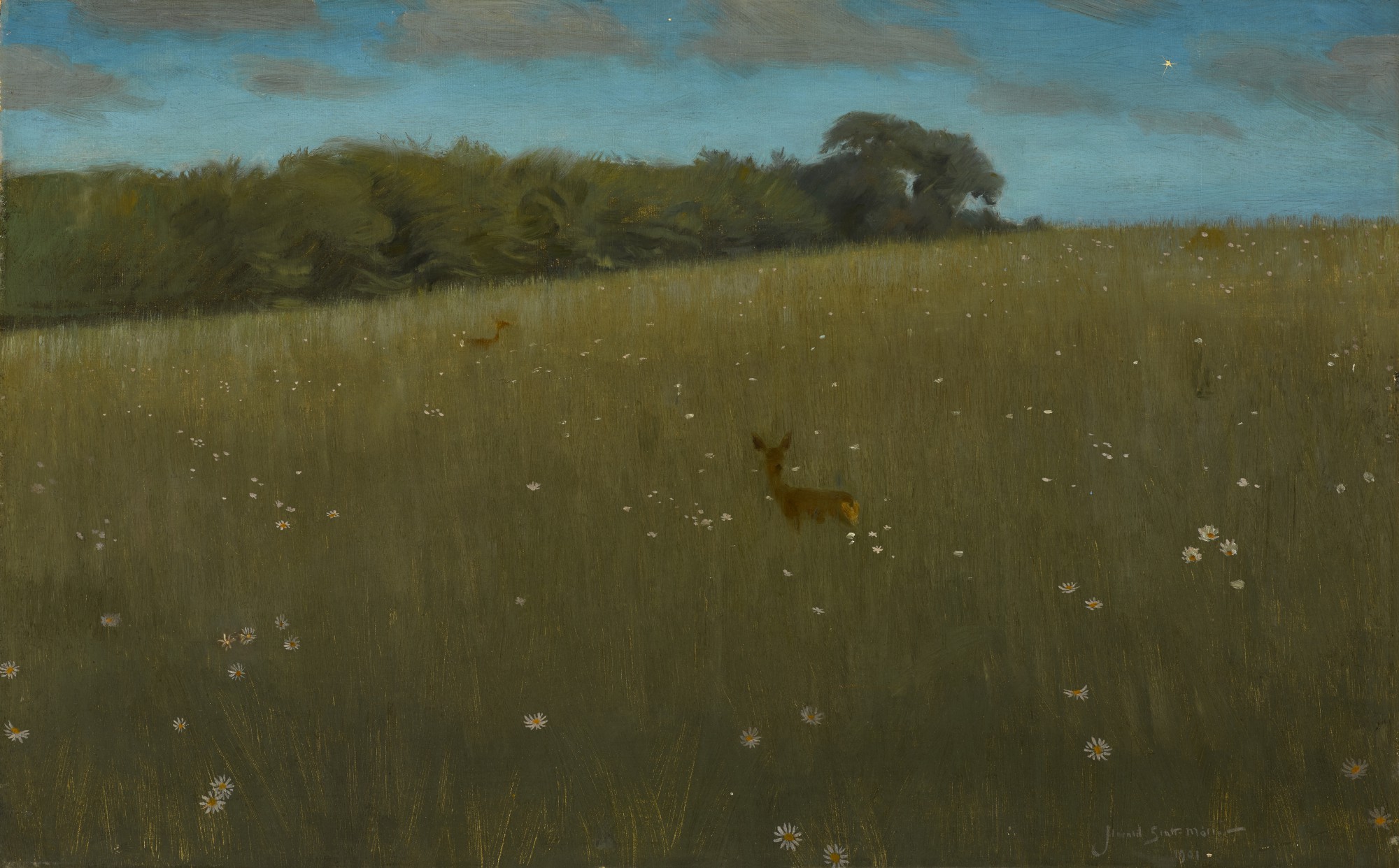 Harald Slott-Møller