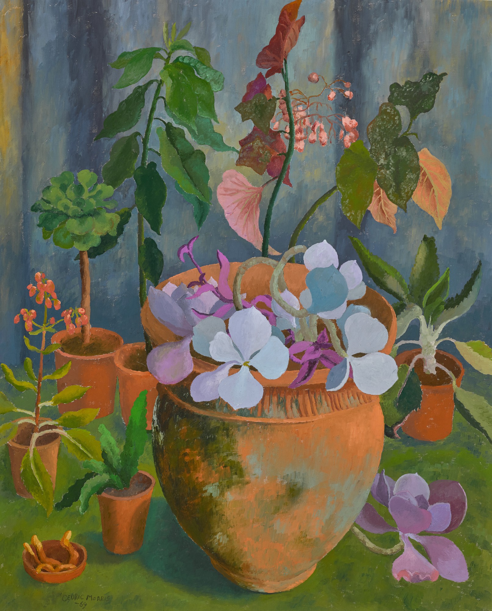 Sir Cedric Morris — The Schnake Pot