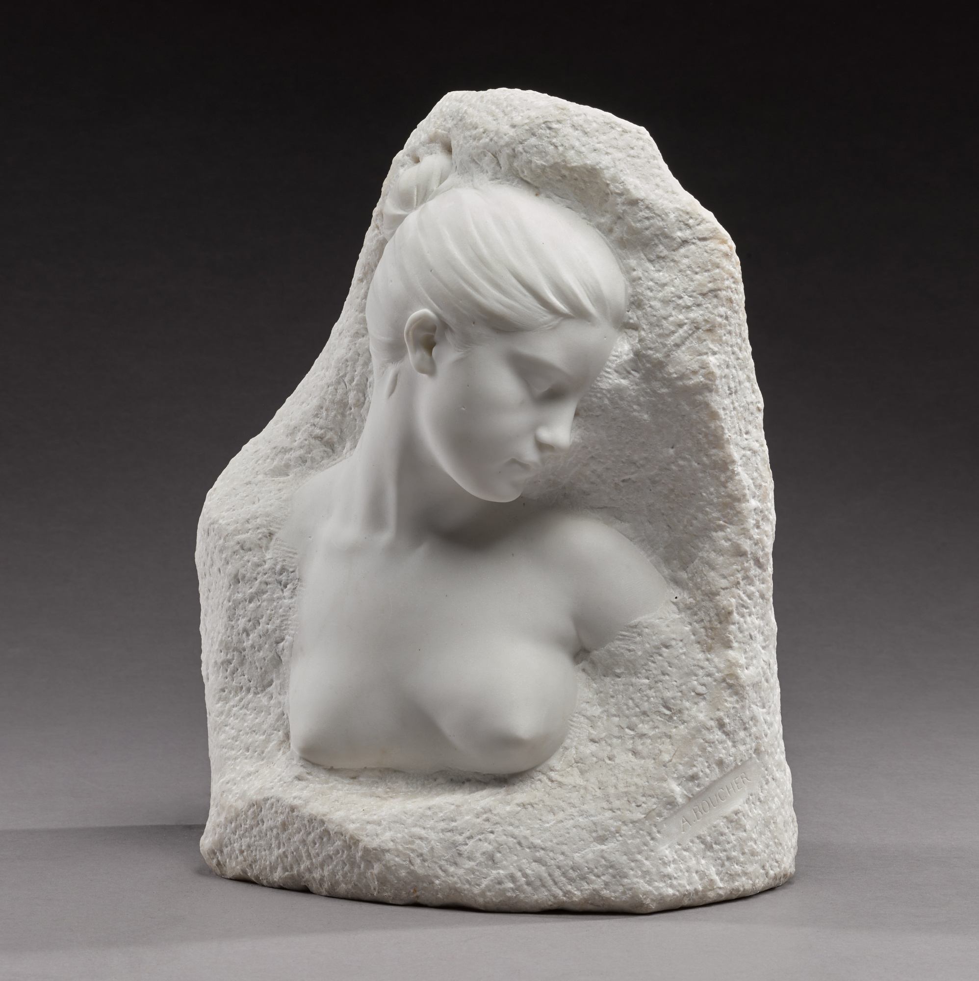 Alfred Boucher — Volubilis