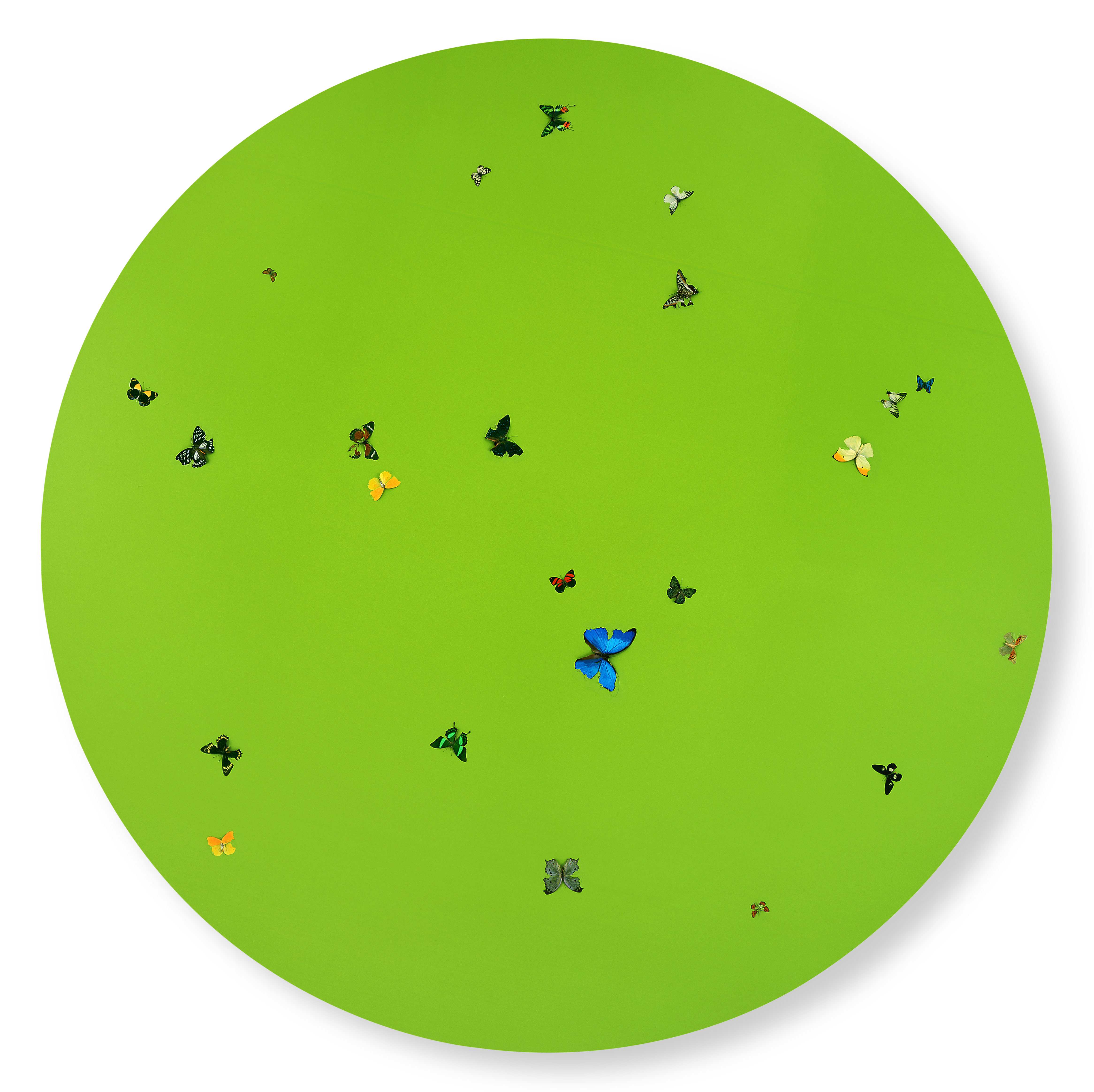 Unknown — I Love You More Than Words Can Say