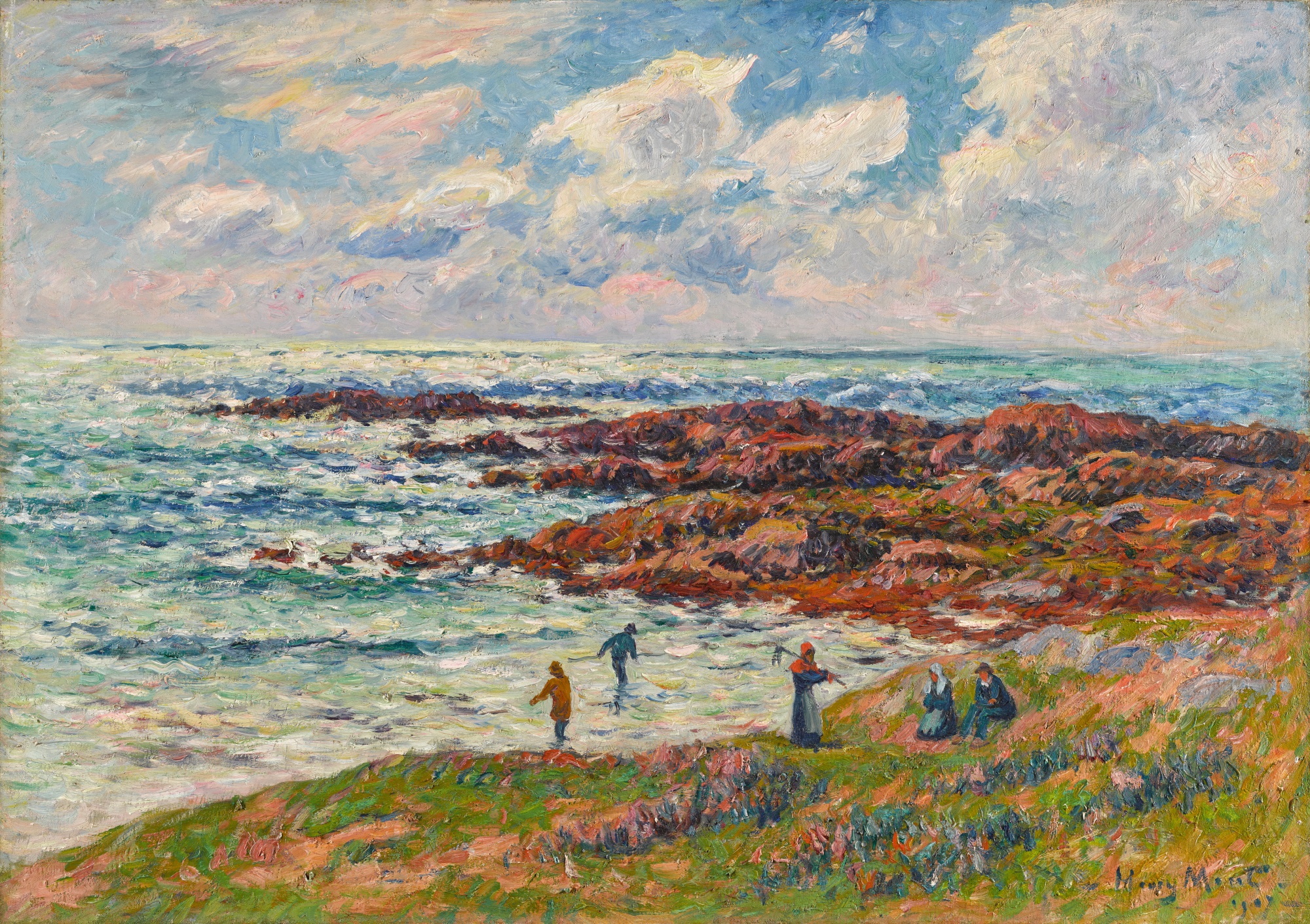 La récolte des goémons à Névez