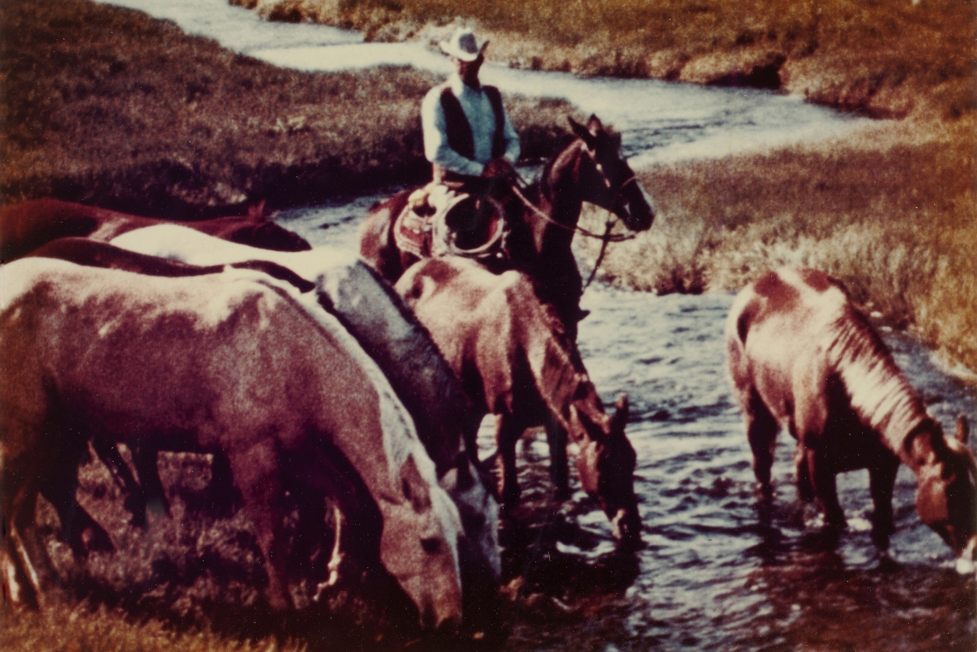 Richard Prince — #14 Untitled (Cowboy Watering Horses)