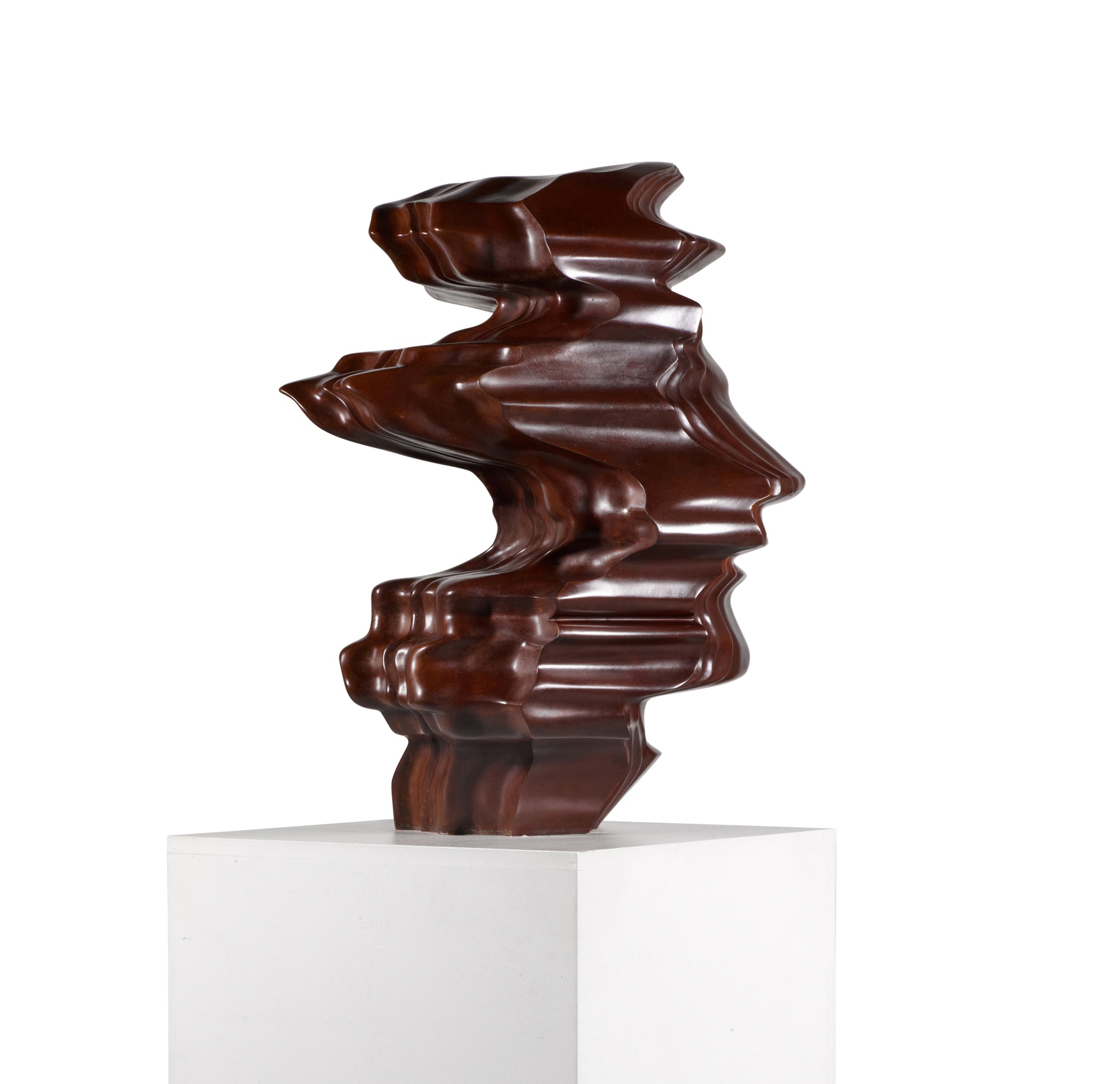 Tony Cragg — Wild Relatives