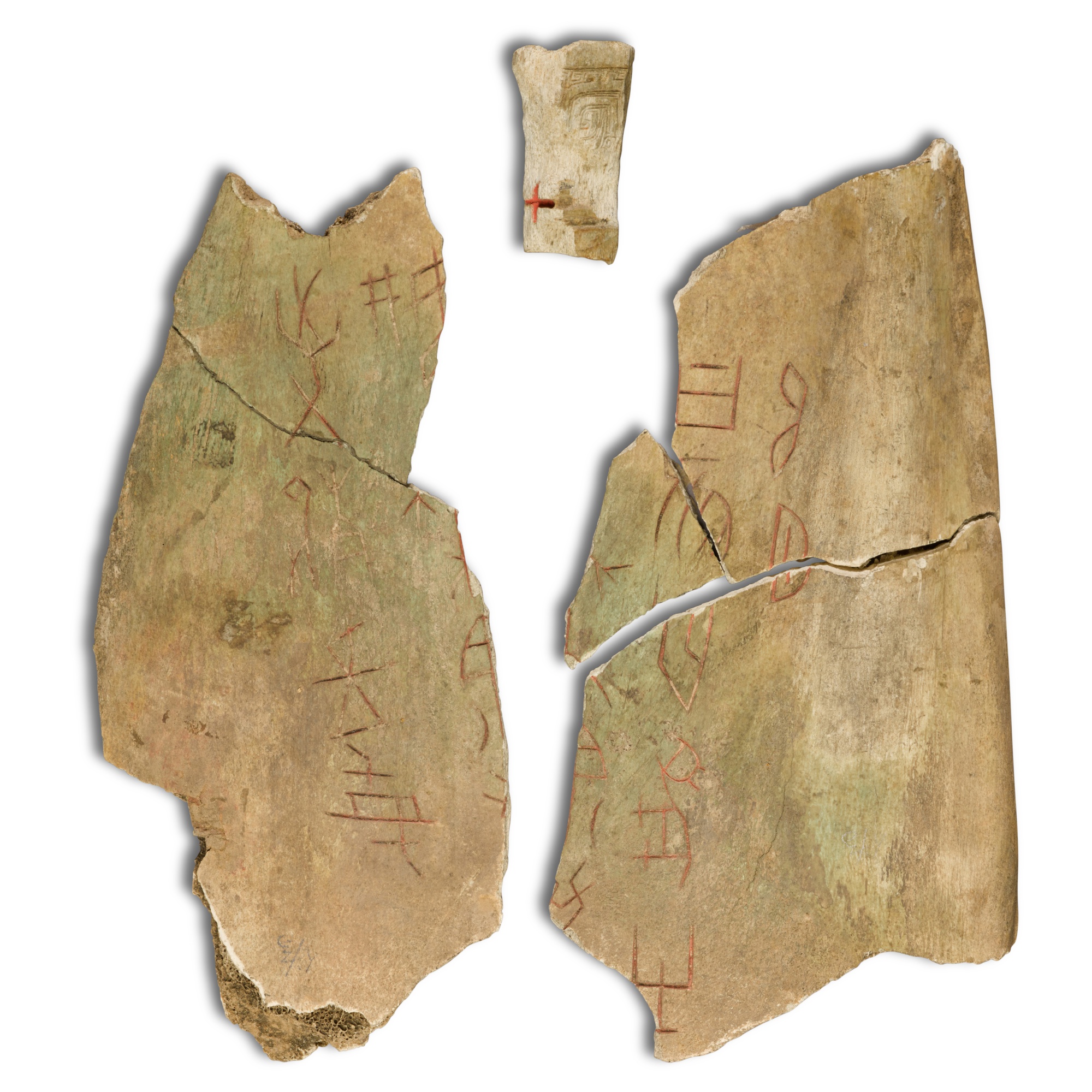A group of three inscribed oracle bones, — 商或以後 甲骨刻辭 一組三片