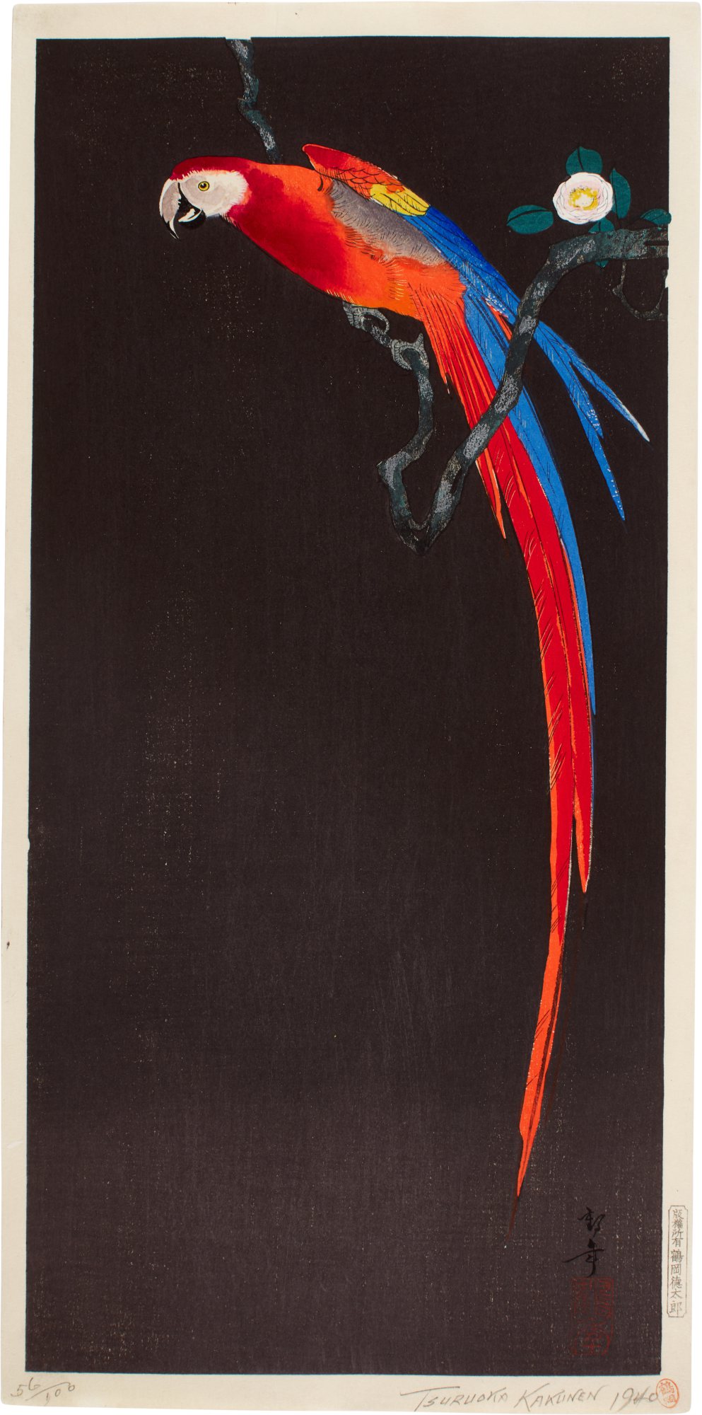 Tsuruoka Kakunen — Macaw on a flowering branch | Showa period, 20th century