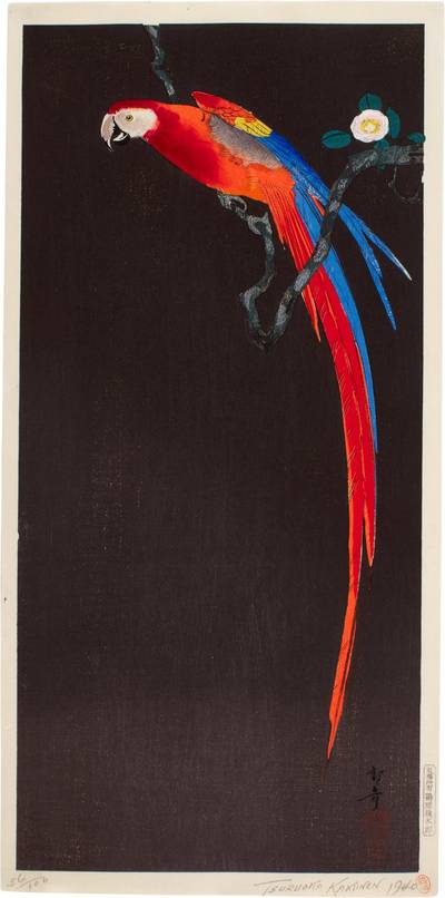 Macaw on a flowering branch | Showa period, 20th century