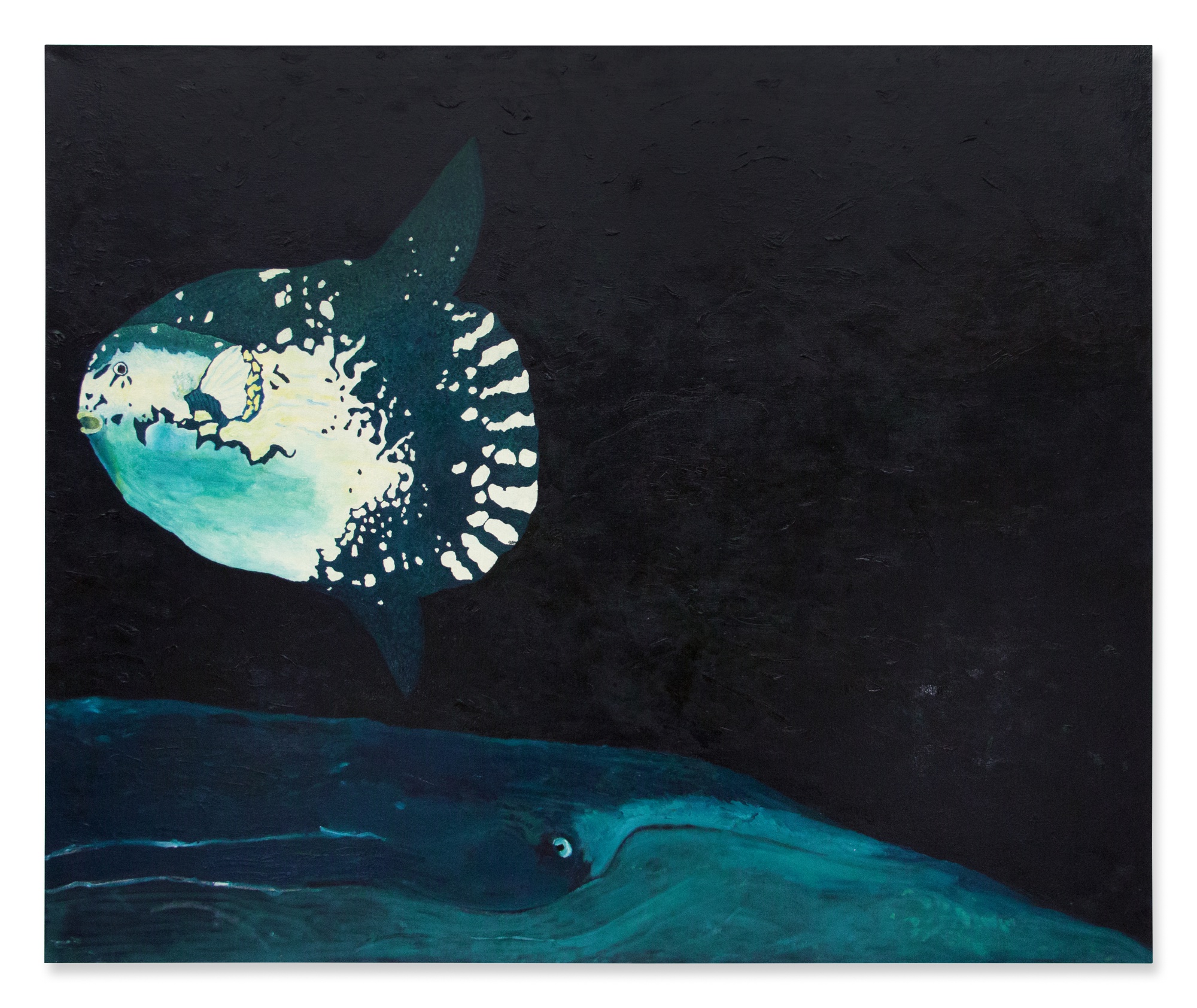Leidy Churchman — Pelagic Ocean Sunfish