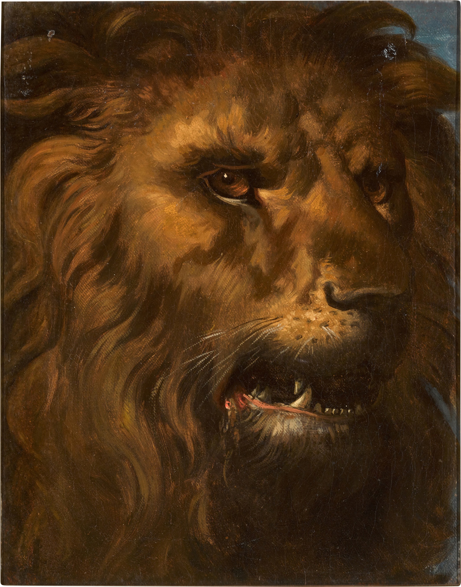 French School, 19th century — Head of a lion