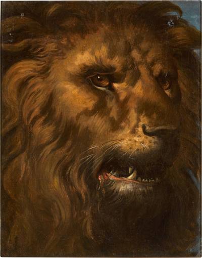 Head of a lion