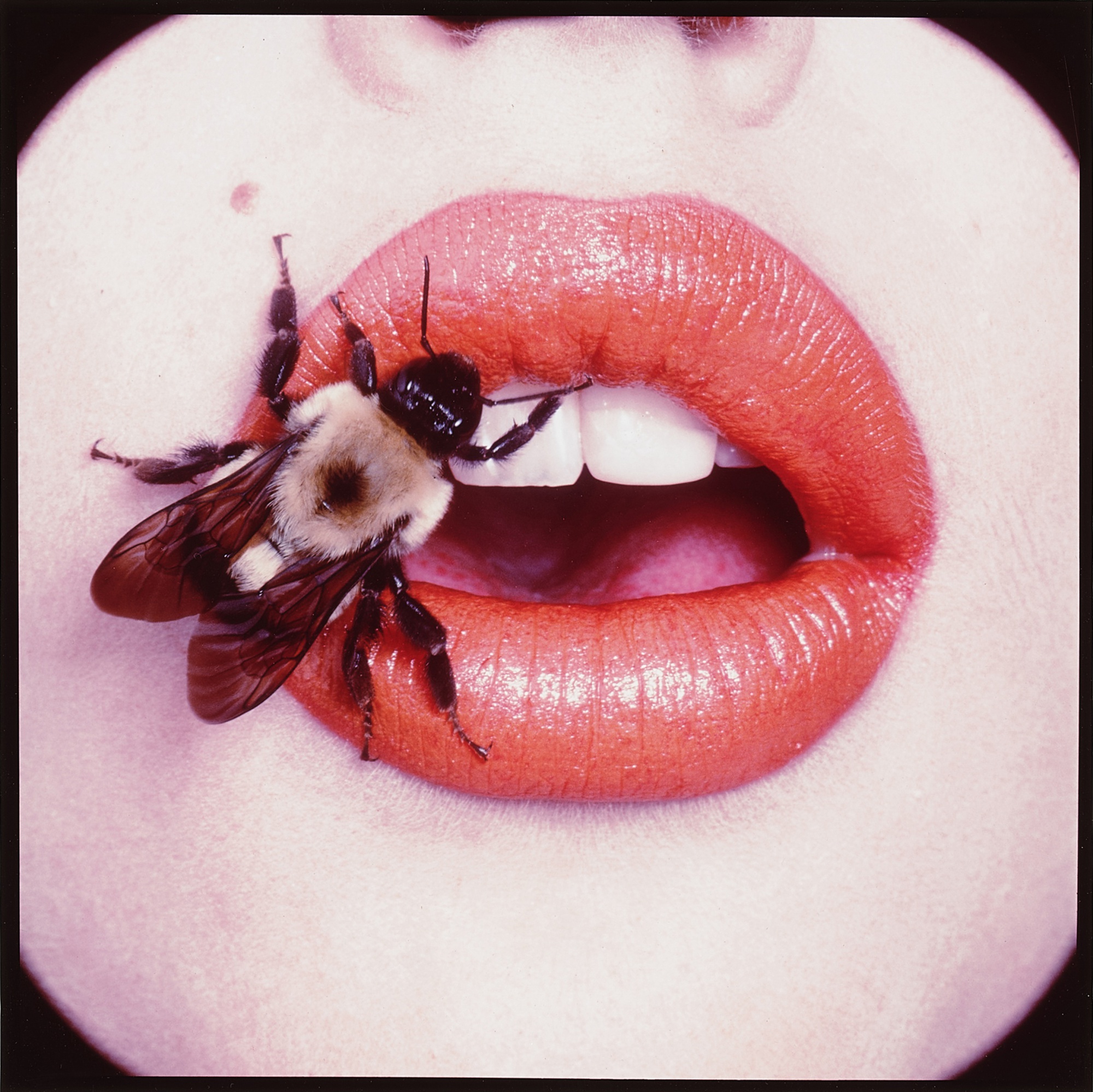 Irving Penn — 'Bee (A), New York'