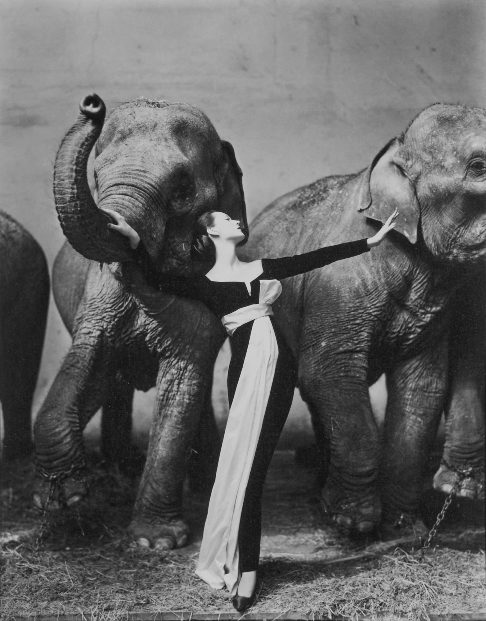 Richard Avedon — Dovima with elephants, Evening dress by Dior, Cirque d'Hiver, Paris, August 1955