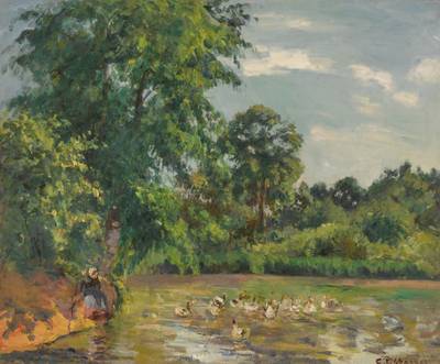 Canards sur l'étang de Montfoucault