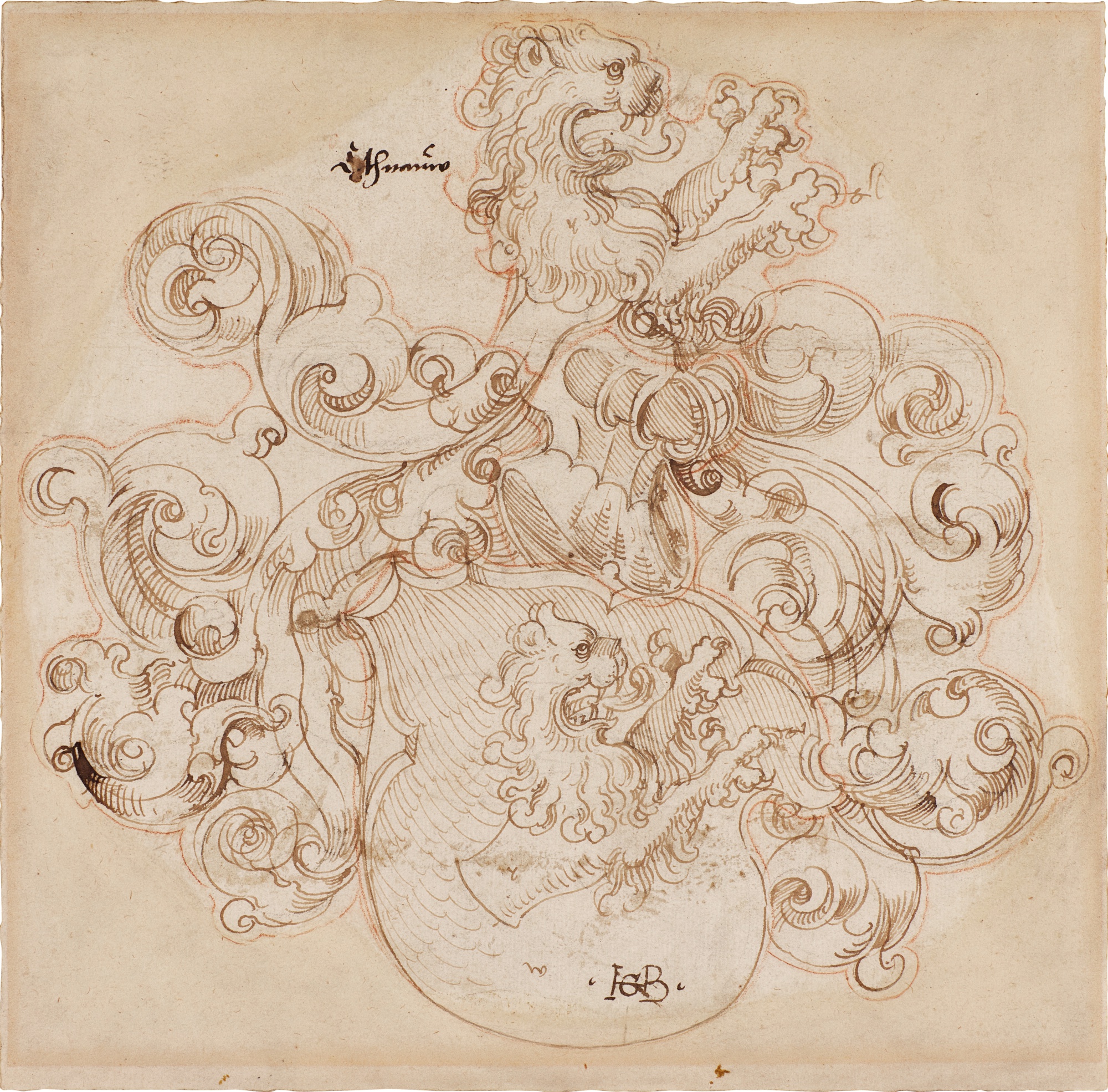 A coat of arms with a lion