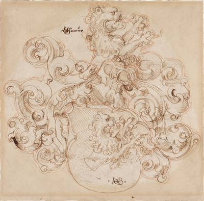 A coat of arms with a lion