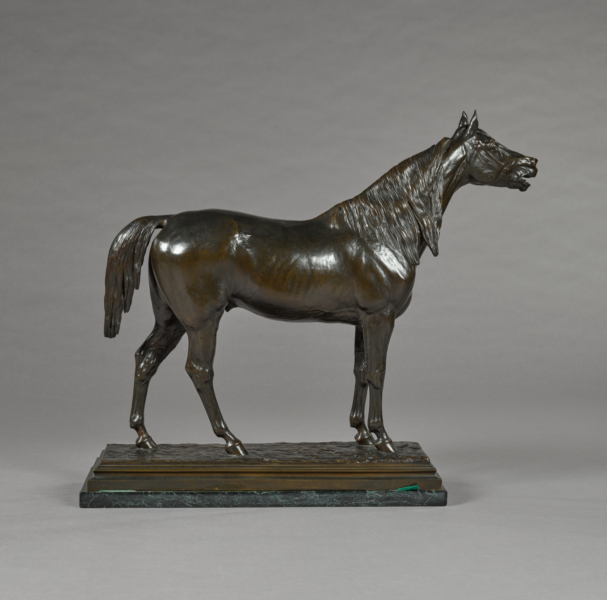 Isidore-Jules Bonheur — Cheval henissant (Neighing horse)