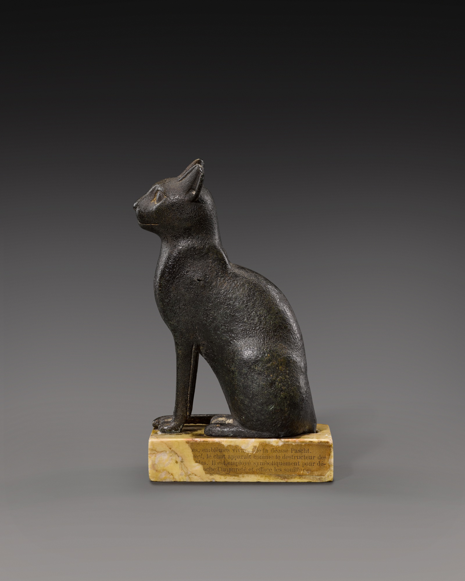 An Egyptian Bronze Figure of a Cat — An Egyptian Bronze Figure of a Cat, Late Period, 26th/30th Dynasty, 664-342 B.C.