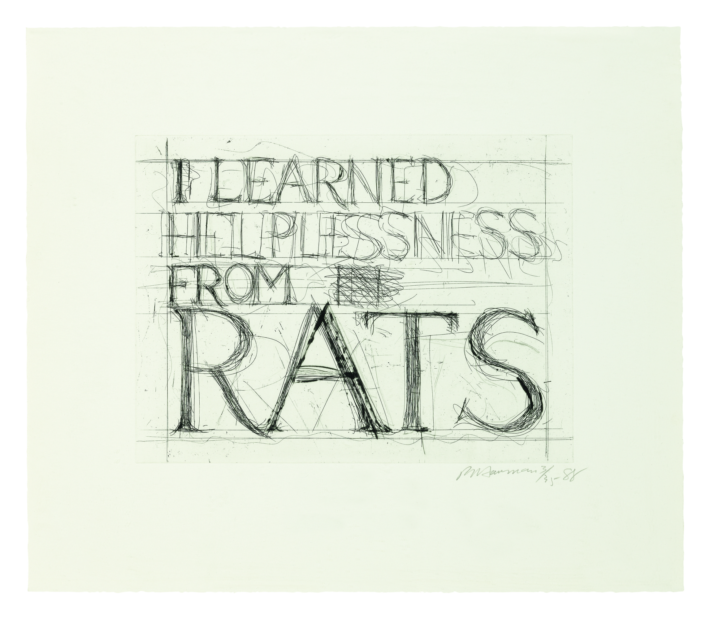 Bruce Nauman — I Learned Helplessness From Rats (cordes 61)