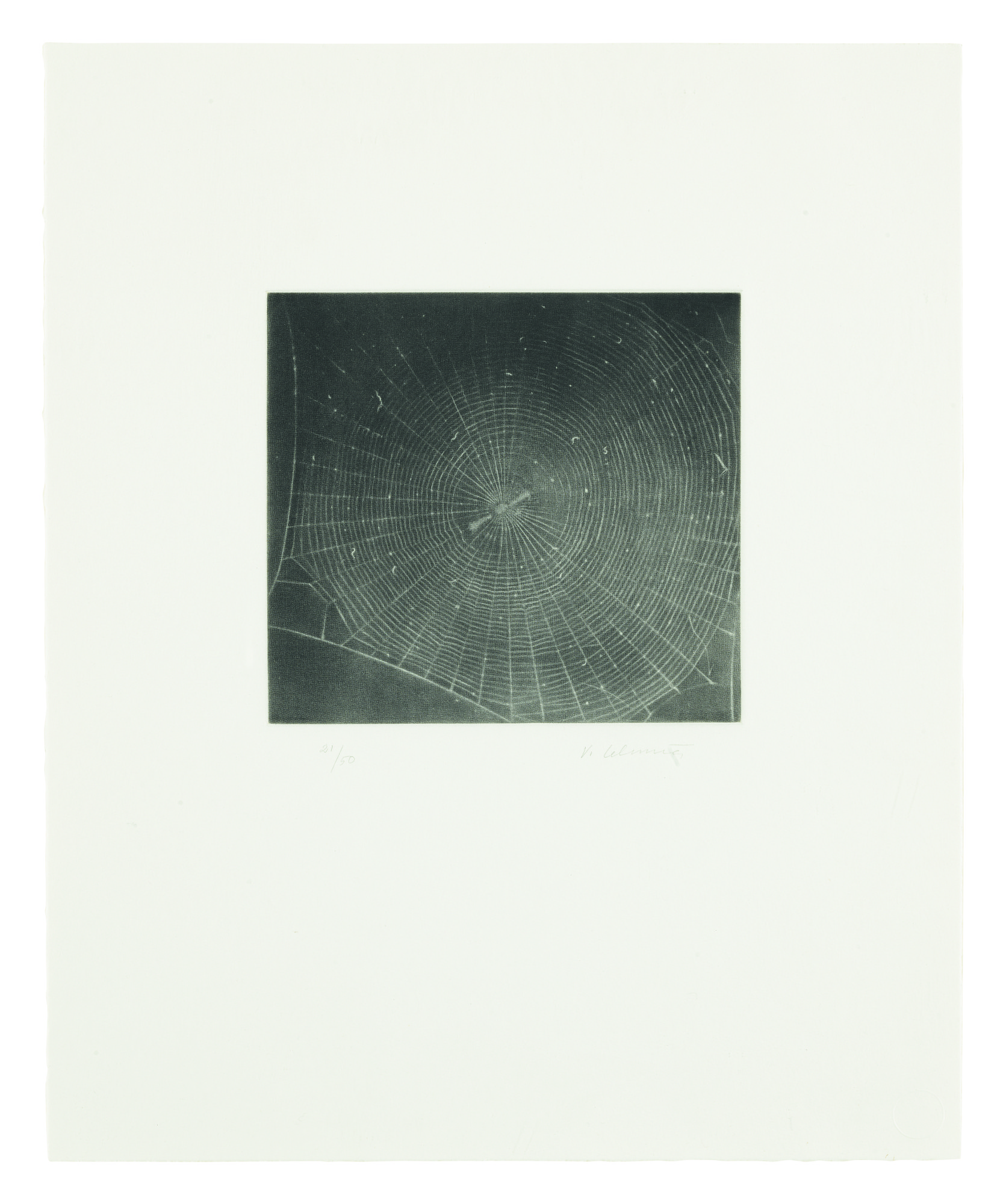 Vija Celmins — Untitled (web 2)
