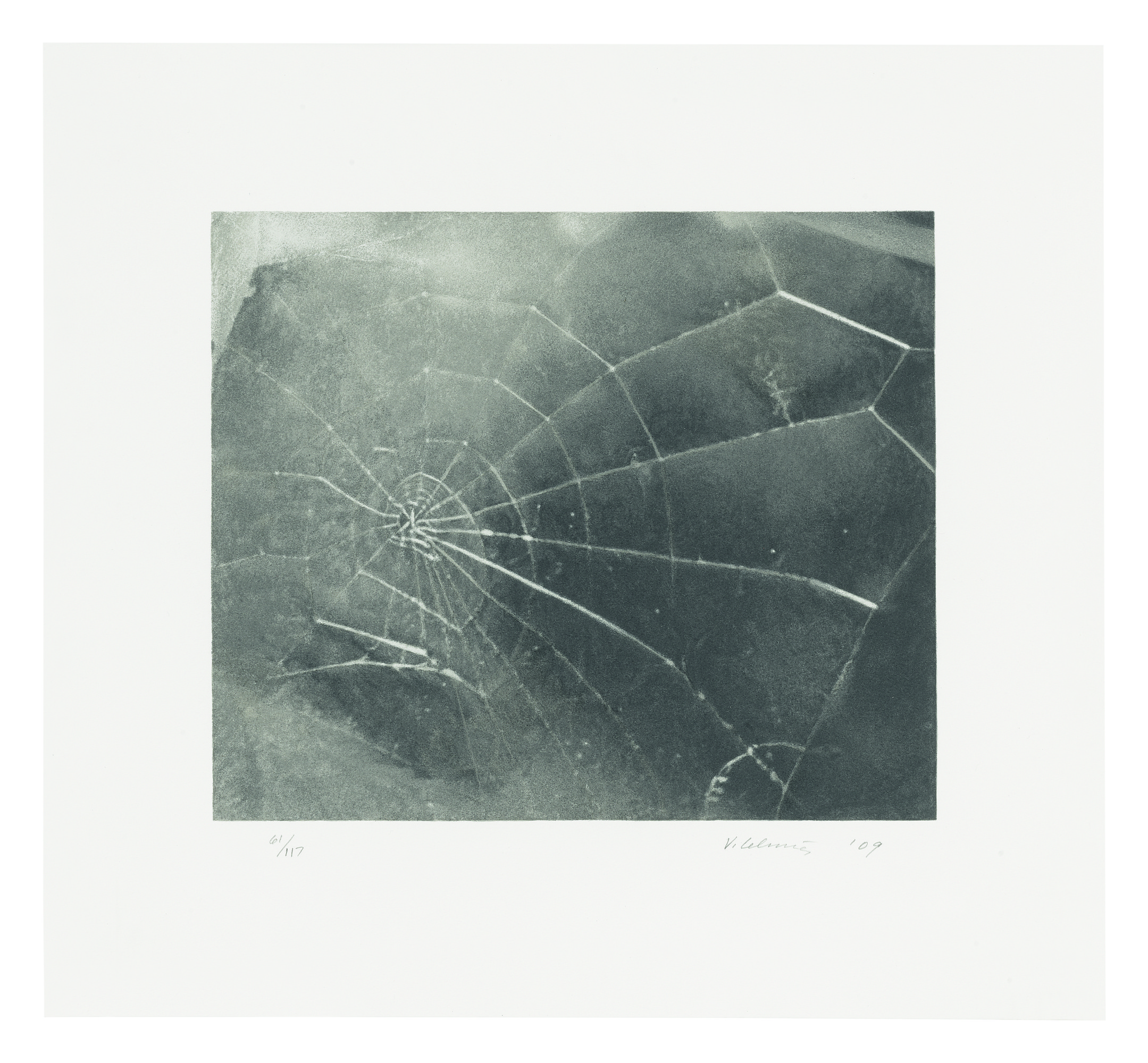 Vija Celmins — Spiderweb