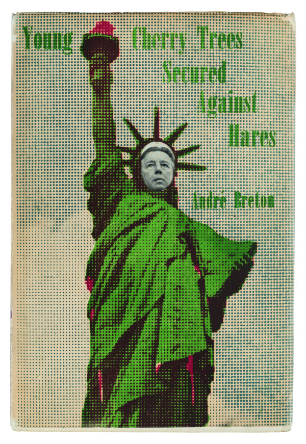 Young Cherry Trees Secured Against Hares