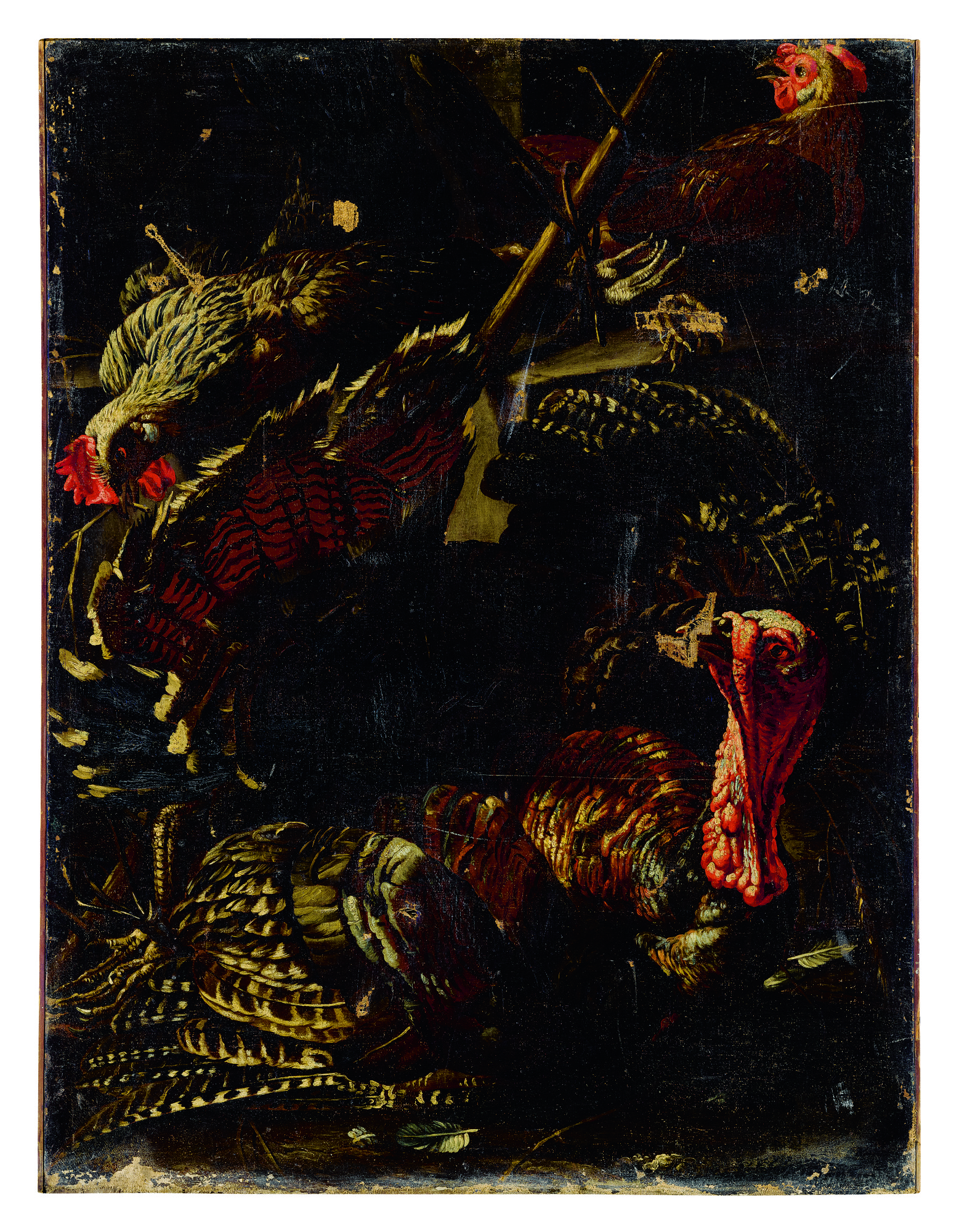Jaques van de Kerckhove, called Giacomo Da Castello — A Group Of Fowl Captive As Hunting Game