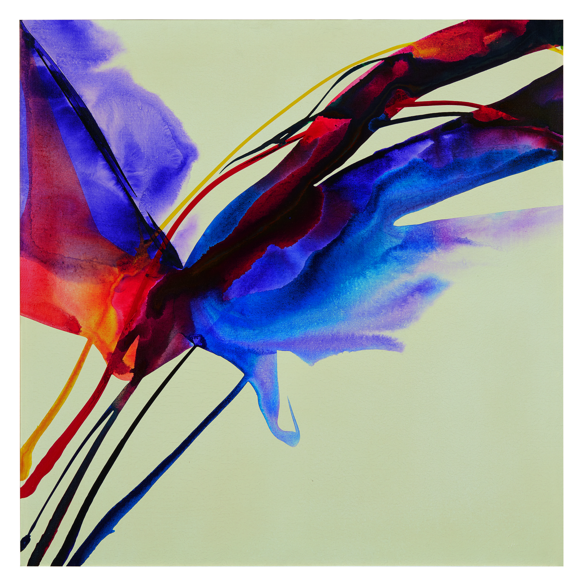 Phenomena Nether Near