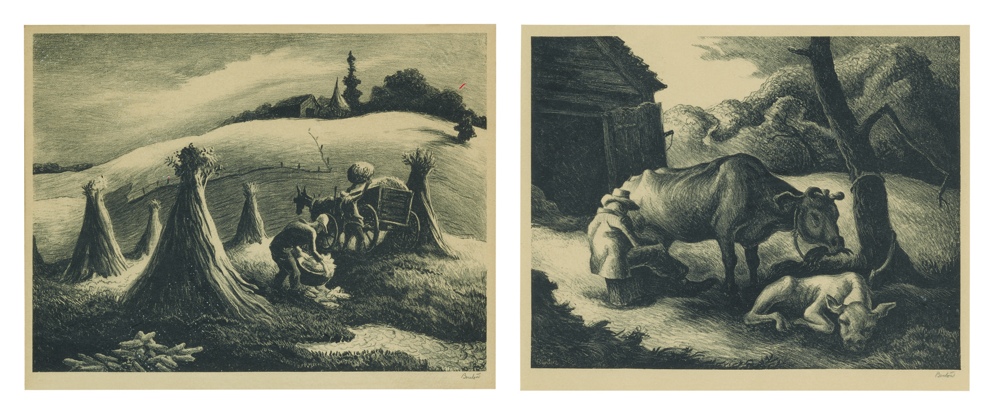 Loading Corn; And White Calf (fath 65 & 67)