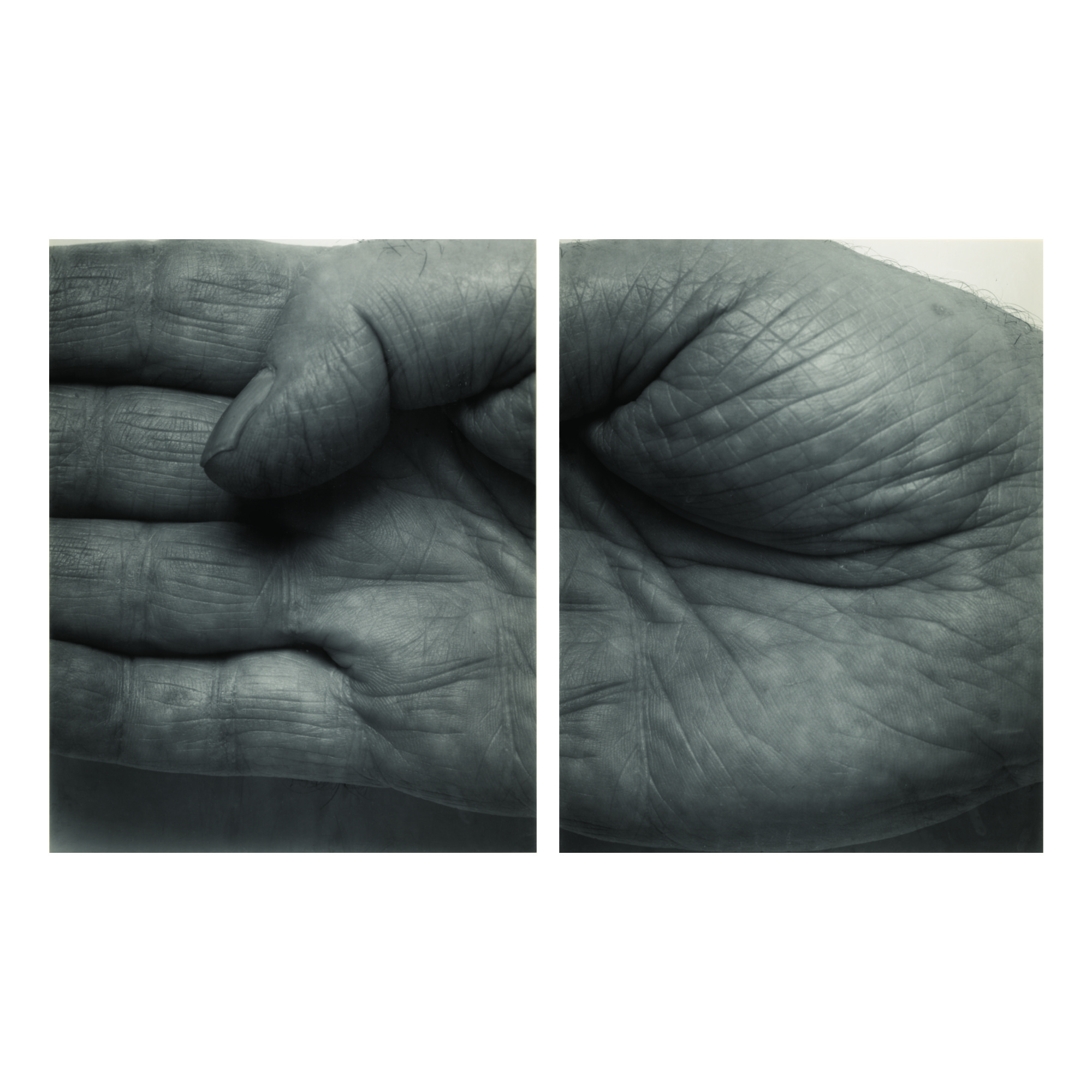 Self-portrait (hand, Two Panels, Horizontal)