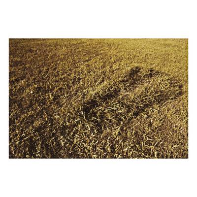 Untitled: Silueta Series