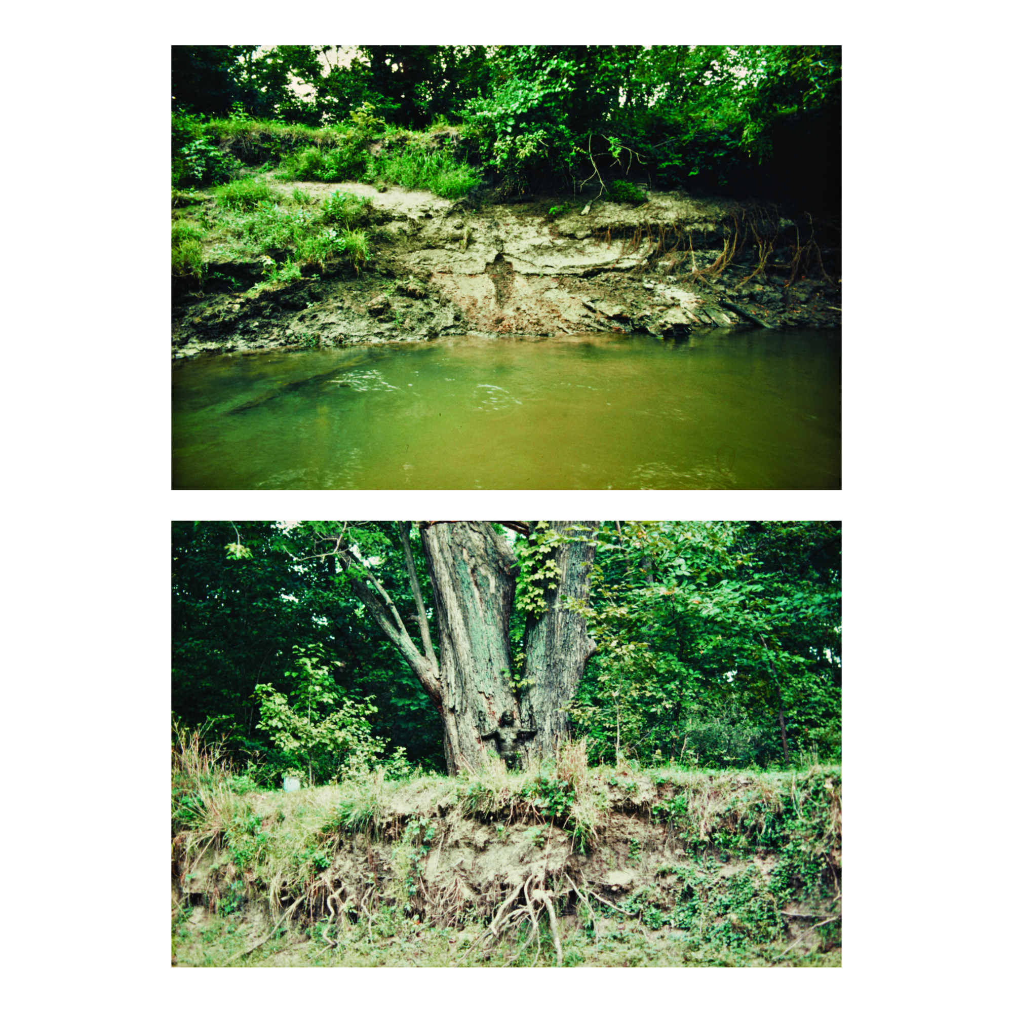 Ana Mendieta — Selected Images (from Silueta Series, Iowa)