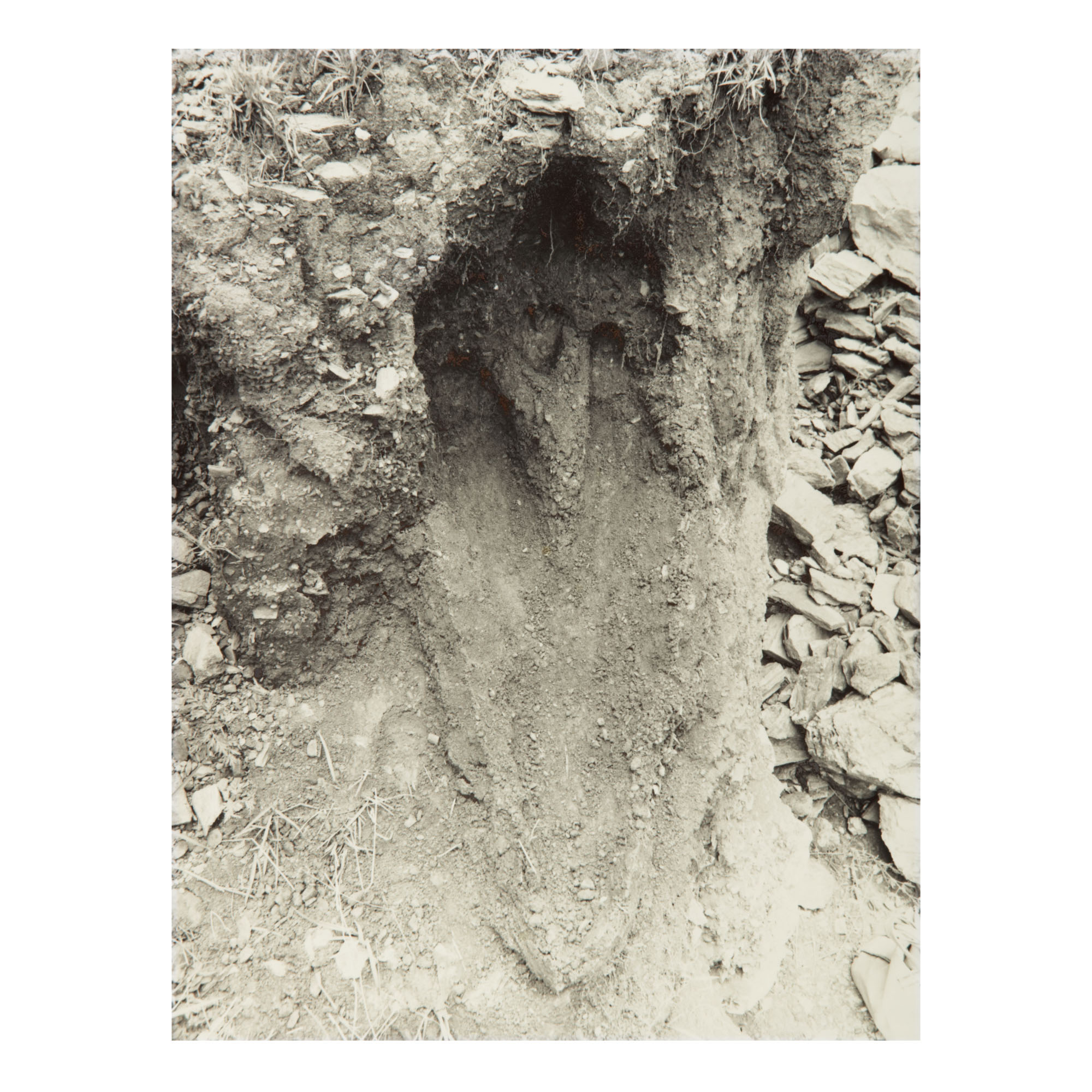 Ana Mendieta — Untitled: Silueta Series, Mexico