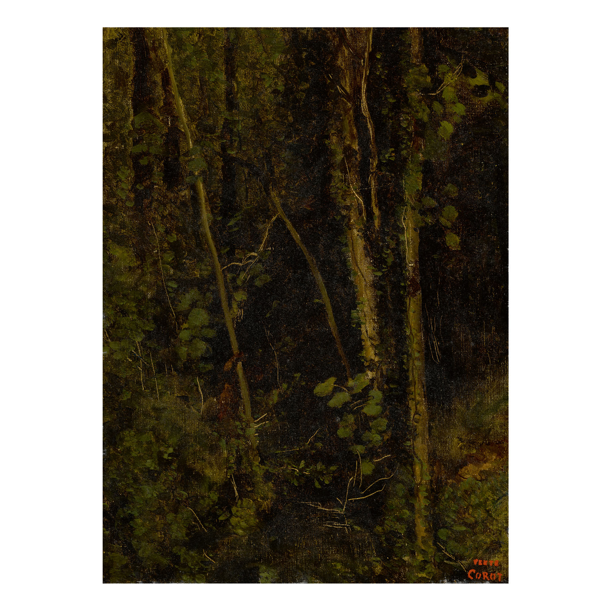 Jean-baptiste-camille Corot — Fourré De Baliveaux