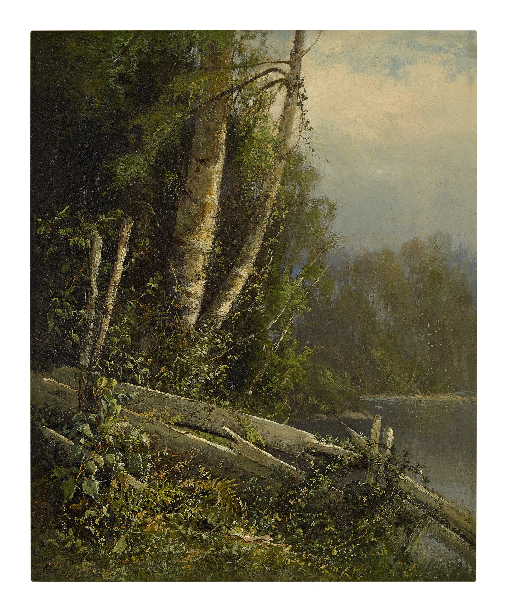 Unknown — A Quiet Pond