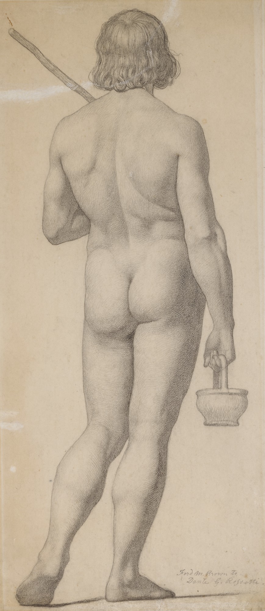 Standing Nude Seen From Behind