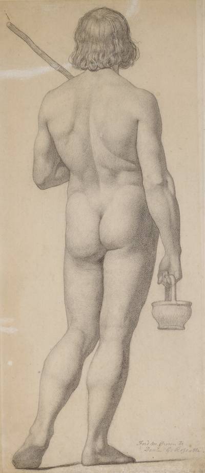 Standing Nude Seen From Behind