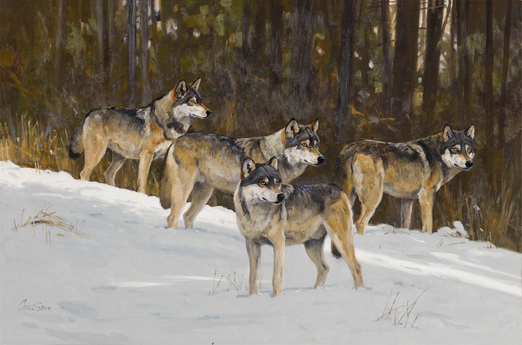 Ken Carlson — Four Wolves in the Snow